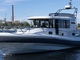 Paragon 31 Flybridge
