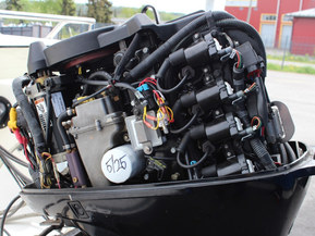 MV-Marin 5400 MC