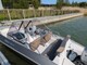 Silver Hawk 540 BR