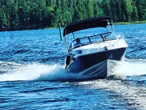 Bayliner 