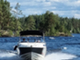 Bayliner