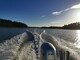 Silver Hawk 540 BR