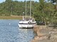 Finntern 35