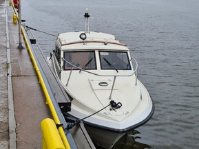 Marino 7000