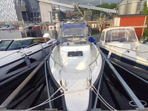 Silver Shark WA