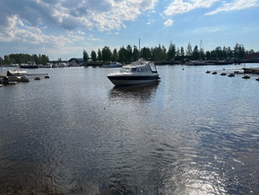 Bella Falcon 26 