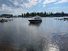 Bella Falcon 26