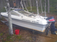 Yamarin 475 DC