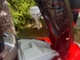 Sea-Doo RXT-X 300 RS