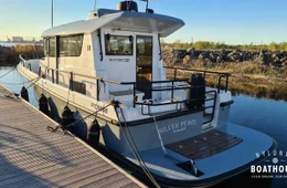 Sargo 31