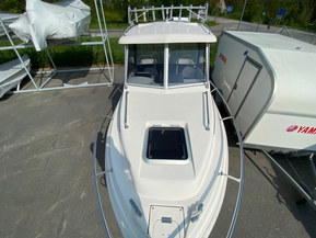 Drago Sunday Fishing 540