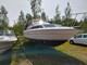 Sea Ray Muu malli SeaDancer