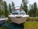 Sea Ray Muu malli SeaDancer