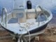 Linder Arkip 460 Mercury 40
