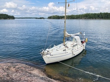 Albin Viggen