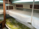 Sea Ray 390 EC