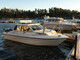 Bella 7500