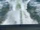 Sea Ray 390 EC