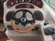 Sea Ray 315 Sundancer