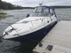 Sea Ray 315 Sundancer