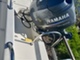 Aqualine 495