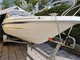 Yamarin 56 BR