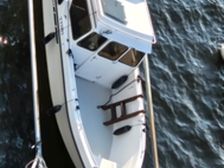 TG Sport Fishing