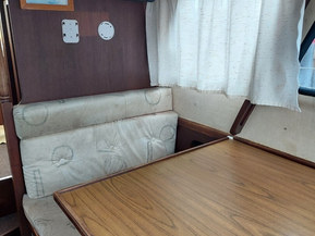 Albatross 29