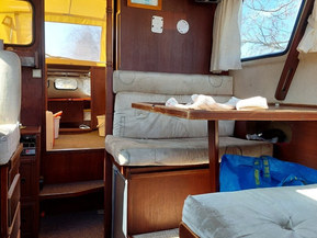 Albatross 29