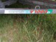 Scantic 575 HT