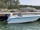 Yamarin 490 BR