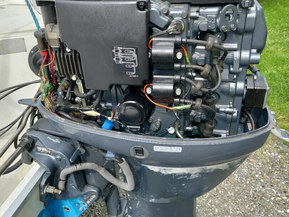 TG 5900 Sport Fisher