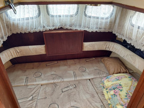 Albatross 29