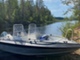 Silver Hawk 520