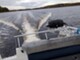 Bayliner 2455 Ciera Muu