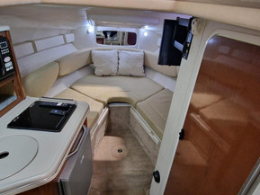 Sea Ray 240 Sundancer