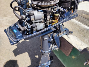 Lujitemuovivene Other