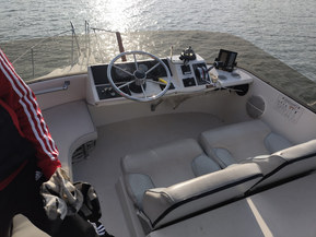 Bayliner 2556