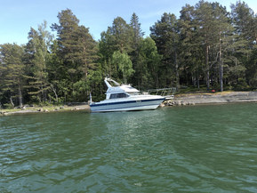 Bayliner 2556