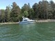 Bayliner 2556 Flybridge