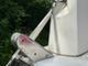 Bayliner 2958 CB