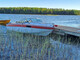 Chris-Craft Scorpion 210