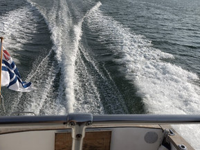 Bayliner 2556