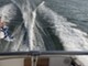 Bayliner 2556 Flybridge