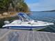 Silver Shark WA