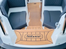 Silver Tiger BRz