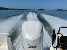 TG 7.9 King Cruiser Supreme