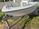 Yamarin 435 Big Fish