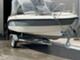 AMT 170 BR BRS
