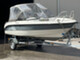 AMT 170 BR BRS